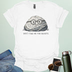 A playful science graphic featuring a cartoon rock character with a smiling face alongside the punny text "DON'T TAKE ME FOR GRANITE."
